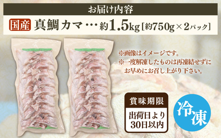 国産 真鯛カマ 約1.5kg (約750g×2パック) 大容量 無塩 冷凍【 鯛めし】[m78-a007]