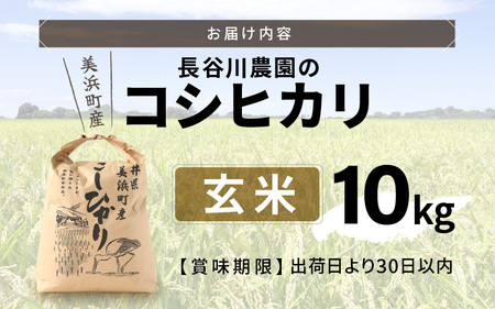 玄米 10kg【令和7年産】長谷川農園の コシヒカリ 玄米 [m22-b003]