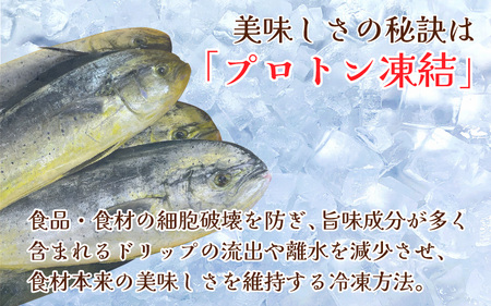 地魚の漬け魚（おかずもん）たっぷりセット【急速冷凍】（プロトン凍結）