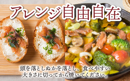 これが地域の味、熟成の味を楽しむ若狭のへしこ【急速冷凍】（プロトン凍結）