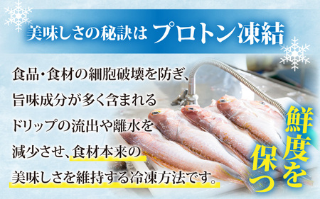 【若狭の灰干し】甘鯛【急速冷凍】（プロトン凍結）