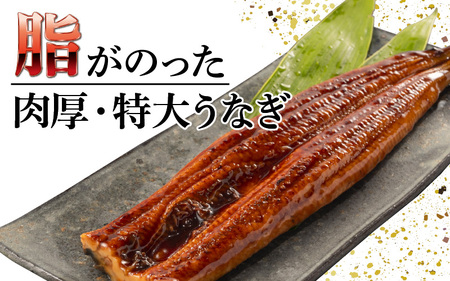 国産特大うなぎ　直火焼き後瞬間凍結　秘伝のタレ付き【急速冷凍】（プロトン凍結）