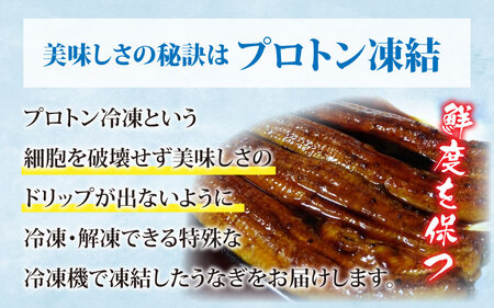 国産特大うなぎ　直火焼き後瞬間凍結　秘伝のタレ付き【急速冷凍】（プロトン凍結）