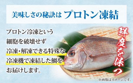 鯛しゃぶ食べ比べセット　2～3人前【急速冷凍】（プロトン凍結） 食べ比べ 海鮮