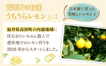 国産うちうらレモン 輪切り 小分け【急速冷凍】（プロトン凍結）ビタミン補給 健康維持 