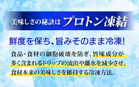 国産うちうらレモン 輪切り 小分け【急速冷凍】（プロトン凍結）ビタミン補給 健康維持 