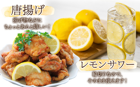 国産うちうらレモン 輪切り 小分け【急速冷凍】（プロトン凍結）ビタミン補給 健康維持 