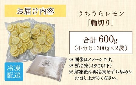 国産うちうらレモン 輪切り 小分け【急速冷凍】（プロトン凍結）ビタミン補給 健康維持 
