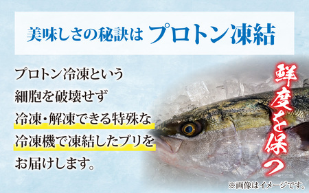 【数量限定】【年内発送】【12月23日までの入金確認分は年内お届け】ブリしゃぶセット 約3人前(プロトン凍結)+西京漬け1袋を一緒にお届け。味噌漬け 魚介類