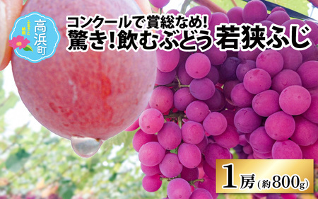 【先行予約】【数量限定】受賞歴多数！飲むぶどう 若狭ふじ 1房(約800g)【贈答用にもお勧め】 ≪2025年8月中旬より順次発送≫