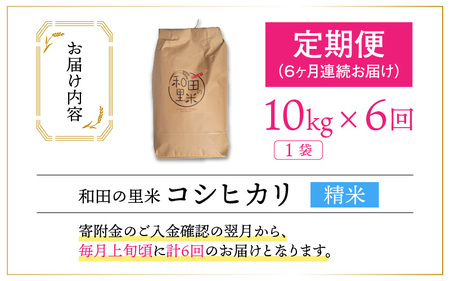 【令和5年産】【6ヶ月定期便】和田の里米 コシヒカリ 白米(精米) 10kg×6回 計60kg