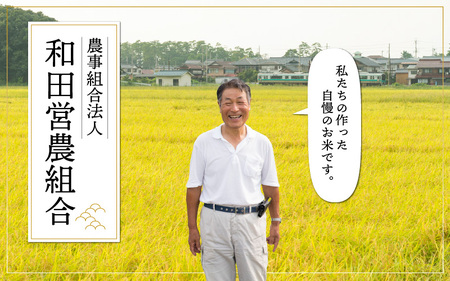 【令和5年産】【3ヶ月定期便】和田の里米 コシヒカリ 白米(精米) 10kg×3回 計30kg