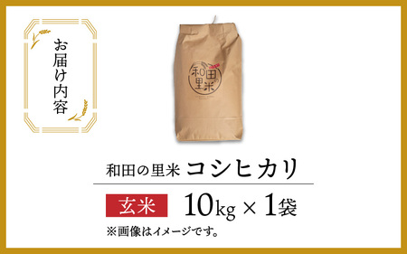 【令和5年産】和田の里米 コシヒカリ 玄米 10kg