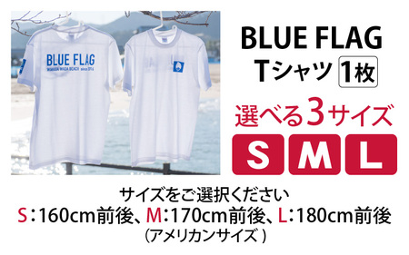 BLUE FLAG Tシャツ S 
