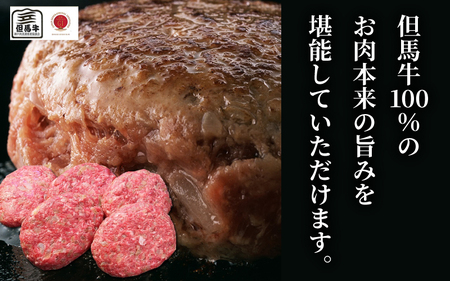 但馬牛100%ハンバーグ5個セット 1050g