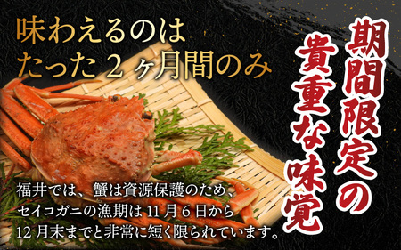 【数量・期間限定】越前コッペガニ(セイコガニ)3杯 セット