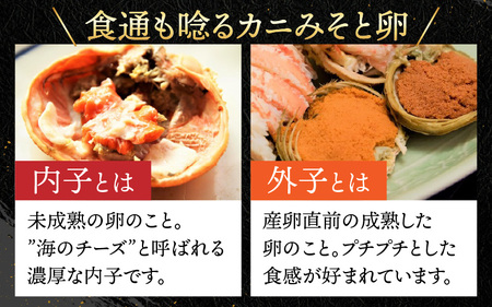 【数量・期間限定】越前コッペガニ(セイコガニ)3杯 セット