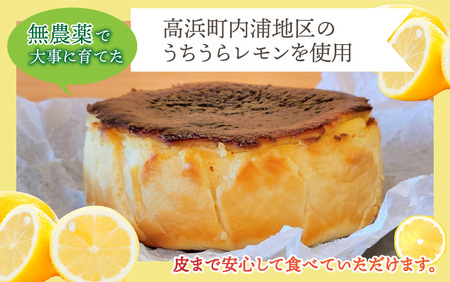 ≪グルテンフリー≫うちうらレモン香る レモンバスクチーズケーキ 15cmホールケーキ