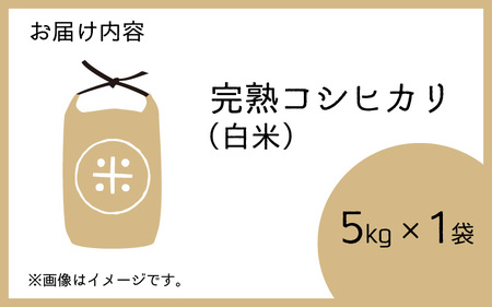 【令和5年産】くらもち完熟米 コシヒカリ 5kg