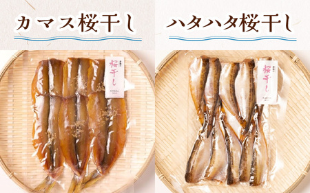 【季節の魚種一夜干し】旬の干物5品セット