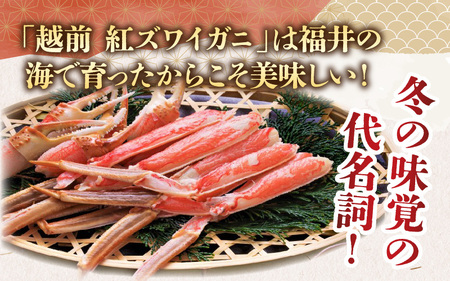 【数量・期間限定】福井県産 越前 紅ズワイガニ ×1杯【急速冷凍】（プロトン凍結）