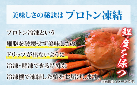 【数量・期間限定】福井県産 越前 紅ズワイガニ ×1杯【急速冷凍】（プロトン凍結）