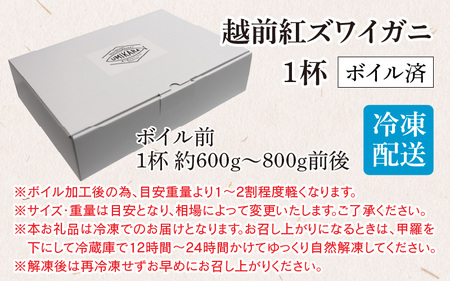 【数量・期間限定】福井県産 越前 紅ズワイガニ ×1杯【急速冷凍】（プロトン凍結）