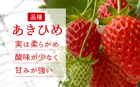 いちご農園のブランド苺【リッチゴ】(冷凍いちご×3kg)