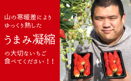 いちご農園のブランド苺【リッチゴ】(冷凍いちご×3kg)