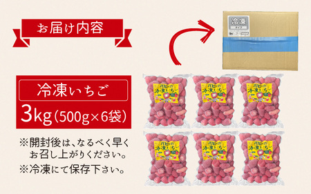 いちご農園のブランド苺【リッチゴ】(冷凍いちご×3kg)