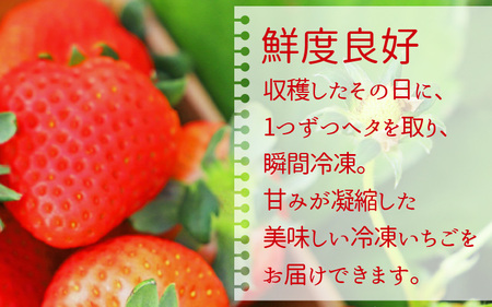 いちご農園のブランド苺【リッチゴ】(冷凍いちご×1kg)