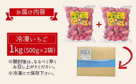いちご農園のブランド苺【リッチゴ】(冷凍いちご×1kg)
