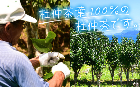 福井県高浜町産 杜仲茶 2種セット「青の杜仲茶2個」「WAKASA TOCHU2個」
