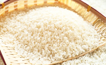 さぶりの里山のお米　コシヒカリとあきさかり食べくらべセット　10kg