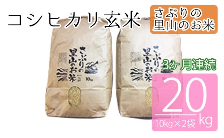 定期便 【3ヶ月連続】さぶりの里山のお米 コシヒカリ玄米 10kg×2袋