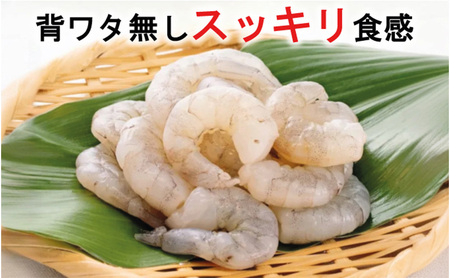 越前若狭食宝庫の高級むきえび【ホワイトバナメイエビ冷凍】800g /約90～100尾x3 海老 