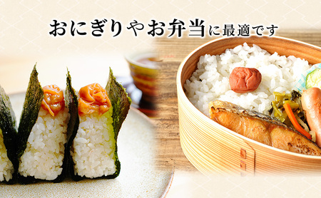 梅干し 650g しそ漬け福梅ぼし うめぼし 梅 しそ漬け 福梅干し 紅さし梅 紅映梅 梅 うめ ウメ 福井県 福井 