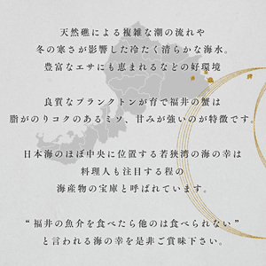 訳あり茹で越前ガニ 500g以上×2杯(脚折れ) カニ ズワイガニ ボイル 福井県