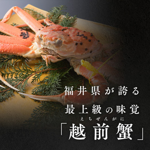 訳あり茹で越前ガニ 900g以上×1杯(脚折れ) カニ ズワイガニ ボイル 福井県