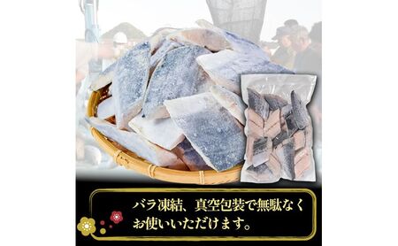 さわら切り身 1kg 真空パック入 魚貝類 加工食品 冷凍 焼くだけ 簡単調理 朝食 朝ごはん お弁当 夕飯 おかず つまみ お酒のあて 福井県 若狭町