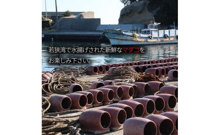 茹でまだこ 小分け700g 真空パック入 国産  タコ ボイル 魚介 魚介類 海鮮 福井県 若狭町