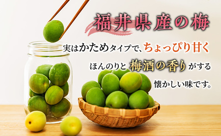 梅 梅酒の梅 10袋 セット 梅酒 おやつ おつまみ つまみ ジャム 手作り