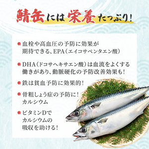 サバ缶 若狭の鯖缶 12缶 セット 水煮 鯖缶 さば サバ 鯖 缶 缶詰 魚