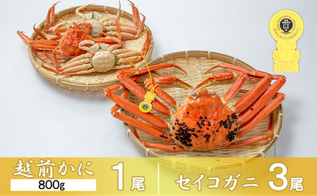 茹で越前ガニ【期間限定】食通もうなる本場の味をぜひ、ご堪能ください。越前ガニ 約800g+セイコガニ3杯 越前がに 越前かに 越前カニ カニ ボイルガニ