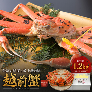 茹で越前ガニ【期間限定】食通もうなる本場の味をぜひ、ご堪能ください。約1.2kg以上 越前がに 越前かに 越前カニ カニ ボイルガニ