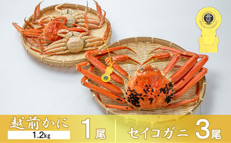 茹で越前ガニ【期間限定】食通もうなる本場の味をぜひ、ご堪能ください。セイコガニセット 約1.2kg+セイコガニ3杯 越前がに 越前かに 越前カニ カニ ボイルガニ