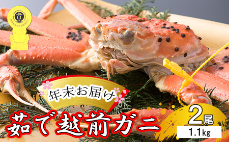 茹で越前ガニ【年末お届け】食通もうなる本場の味をぜひ、ご堪能ください。約1.1kg 2尾セット 越前がに 越前かに 越前カニ カニ ボイルガニ