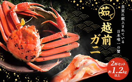 茹で越前ガニ【年末お届け】食通もうなる本場の味をぜひ、ご堪能ください。約1.2kg 2尾セット 越前がに 越前かに 越前カニ カニ ボイルガニ