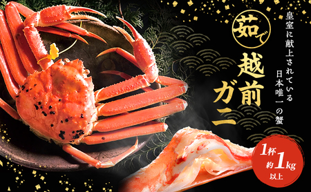 茹で越前ガニ【年末お届け】食通もうなる本場の味をぜひ、ご堪能ください。約1kg以上×1杯 越前がに 越前かに 越前カニ ずわいがに かに カニ ボイルガニ