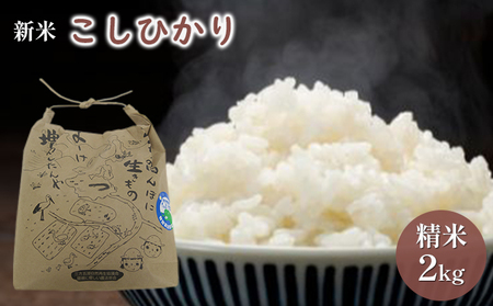 こしひかり2kg（令和7年度産）特別栽培米 若狭・天狗山農園 お米 代表 食感 精米 農薬 化学肥料